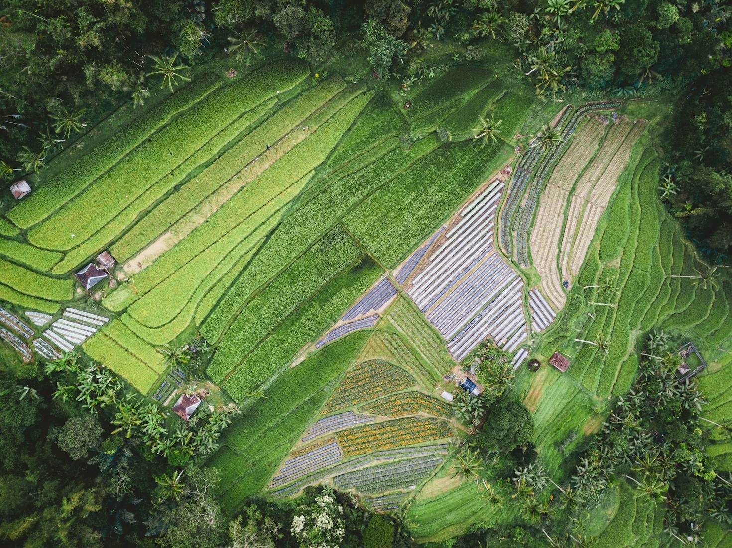 How Regenerative Agriculture Can Secure Our Future