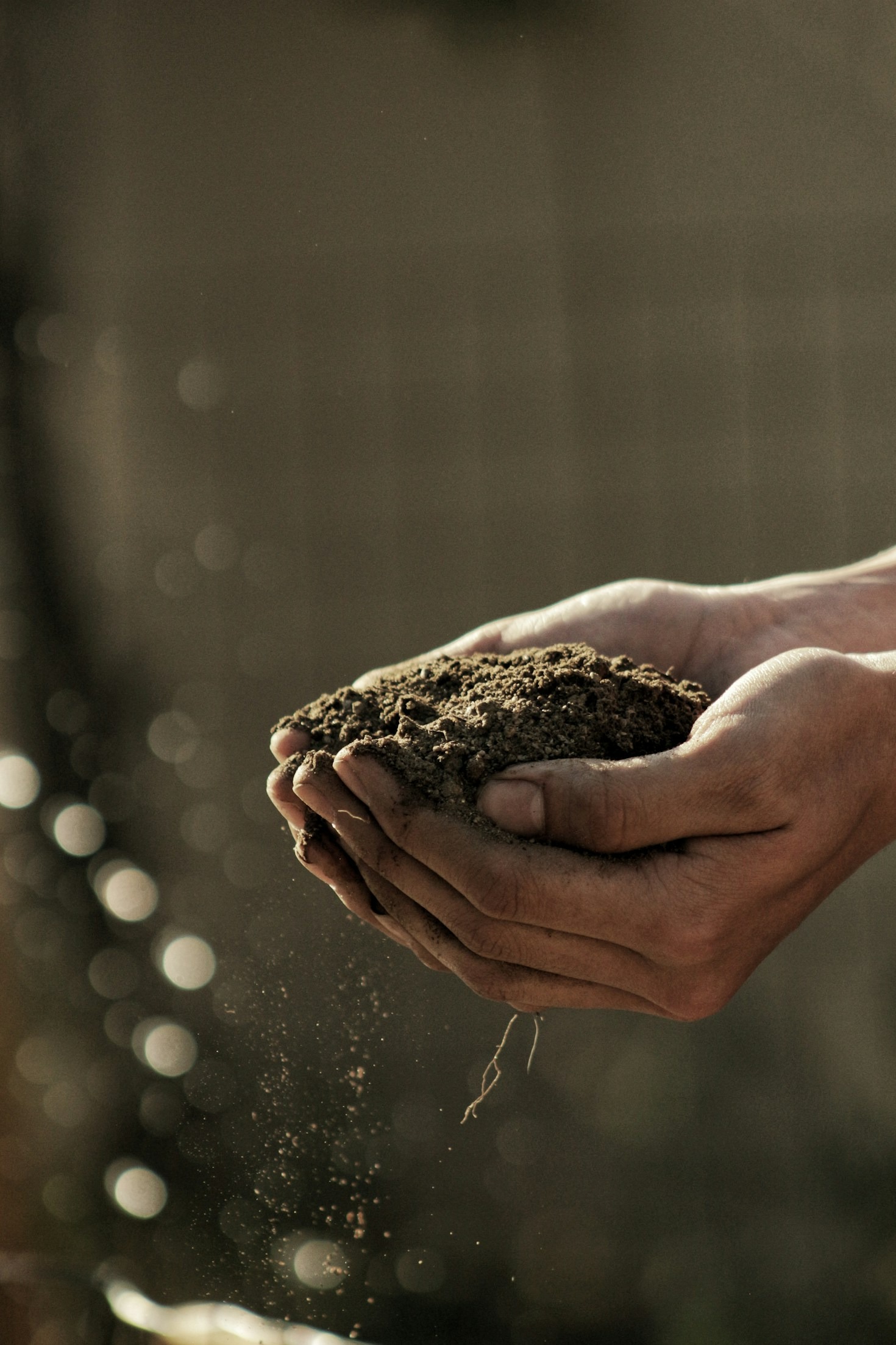 Saving Florida Farmland Through Regenerative Practices